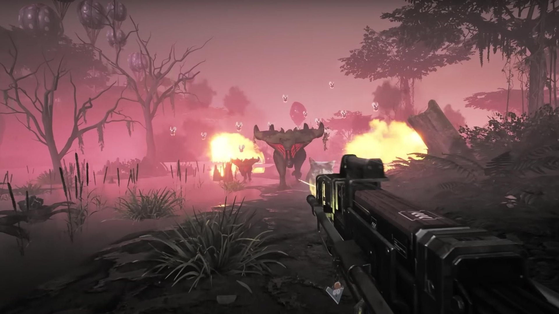 森林 年度版 截图8